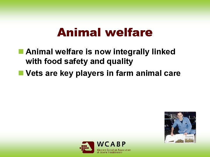 Animal welfare n Animal welfare is now integrally linked with food safety and quality