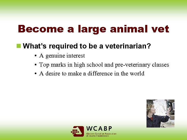 Become a large animal vet n What’s required to be a veterinarian? • A