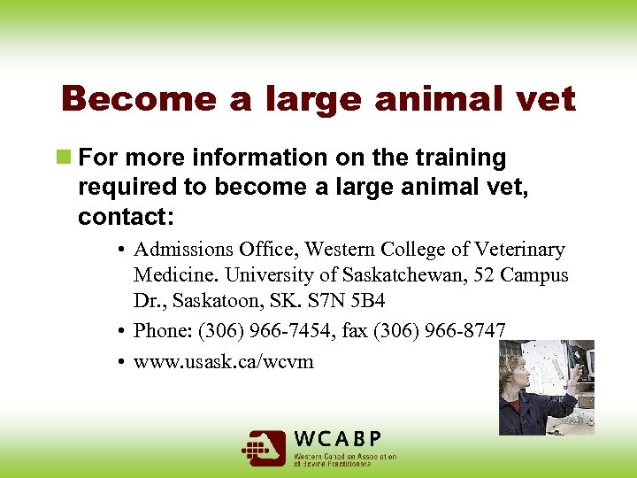 Become a large animal vet n For more information on the training required to