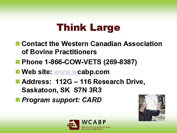 Think Large n Contact the Western Canadian Association of Bovine Practitioners n Phone 1