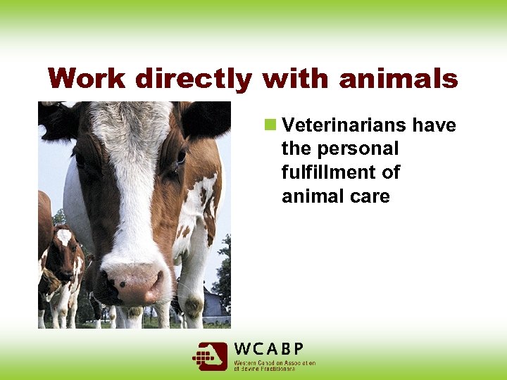 Work directly with animals n Veterinarians have the personal fulfillment of animal care 