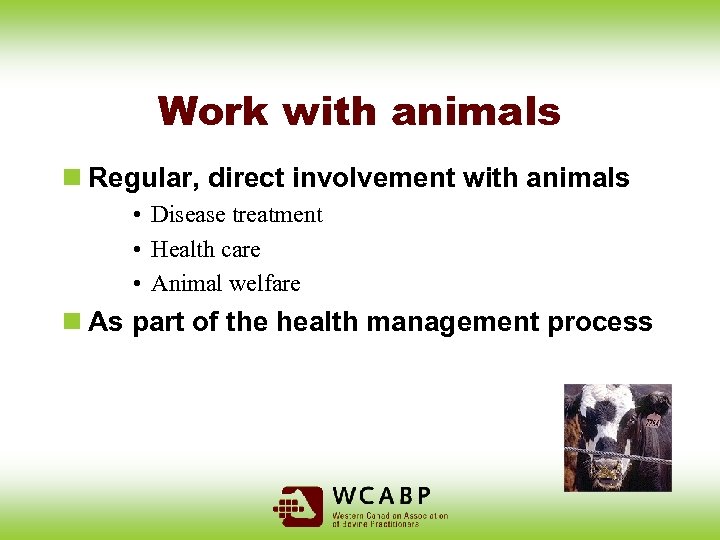 Work with animals n Regular, direct involvement with animals • Disease treatment • Health