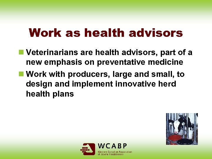 Work as health advisors n Veterinarians are health advisors, part of a new emphasis