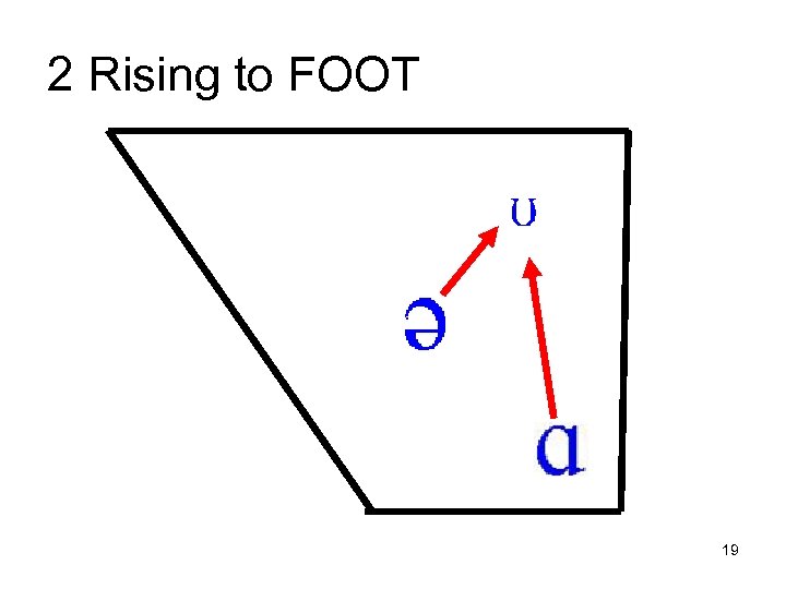 2 Rising to FOOT 19 