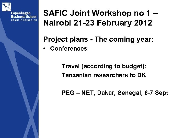 SAFIC Joint Workshop no 1 – Nairobi 21 -23 February 2012 Project plans -