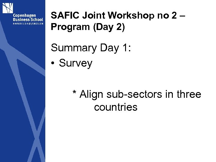 SAFIC Joint Workshop no 2 – Program (Day 2) Summary Day 1: • Survey