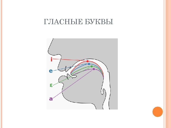 ГЛАСНЫЕ БУКВЫ 