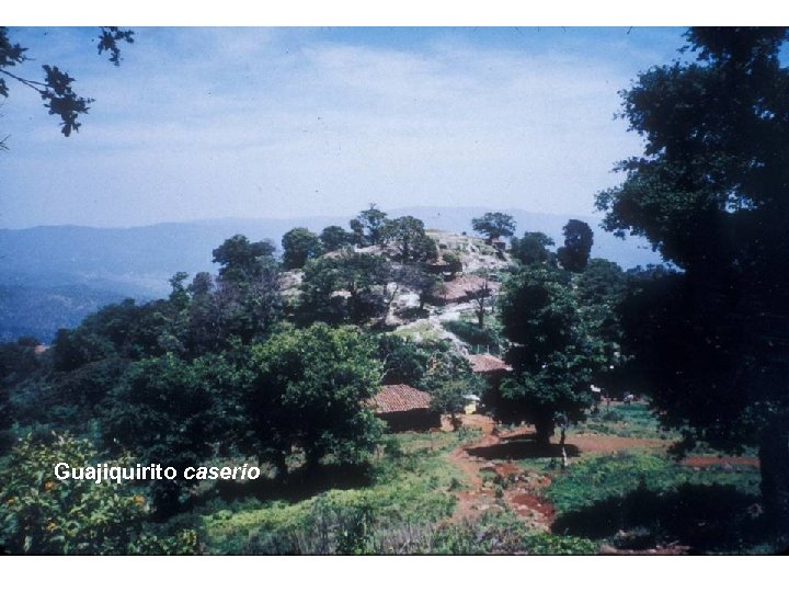 Guajiquirito caserio 