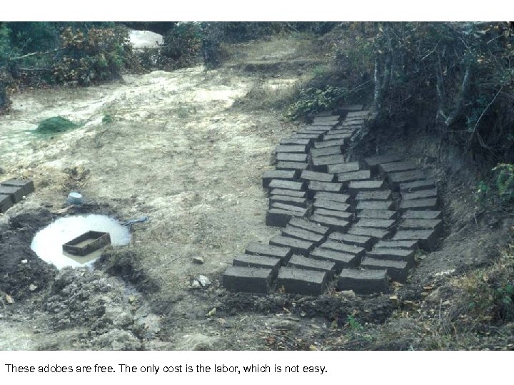 These adobes are free. The only cost is the labor, which is not easy.