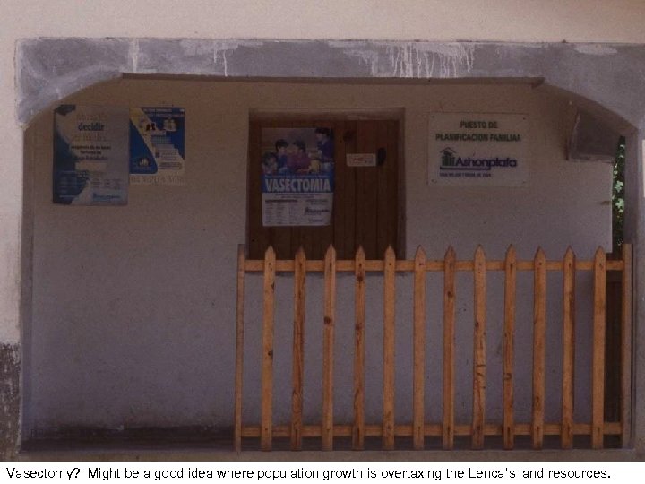 Vasectomy? Might be a good idea where population growth is overtaxing the Lenca’s land