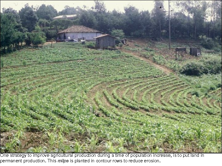One strategy to improve agricultural production during a time of population increase, is to