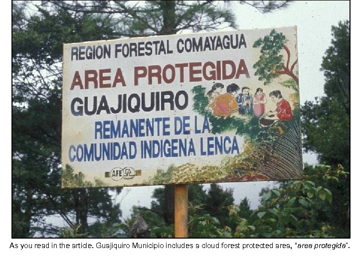 As you read in the article. Guajiquiro Municipio includes a cloud forest protected area,