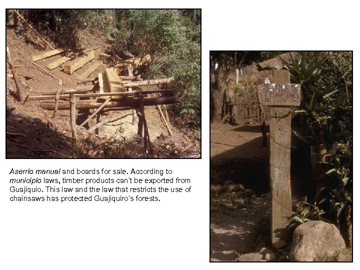 Aserrio manual and boards for sale. According to municipio laws, timber products can’t be