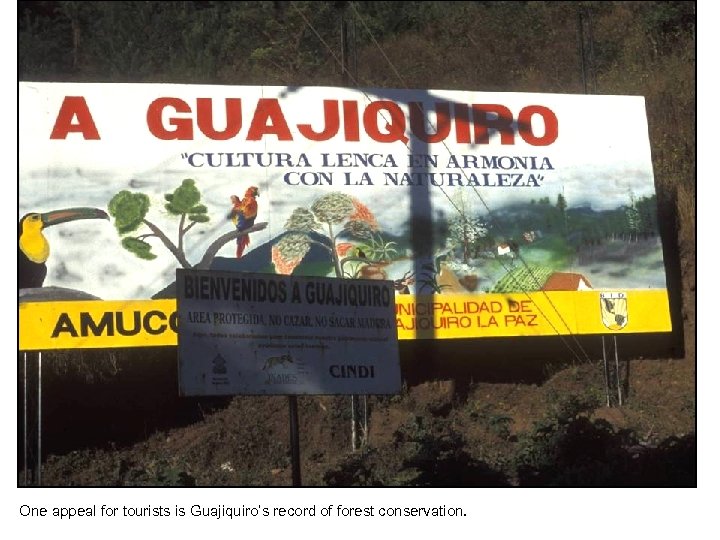 One appeal for tourists is Guajiquiro’s record of forest conservation. 