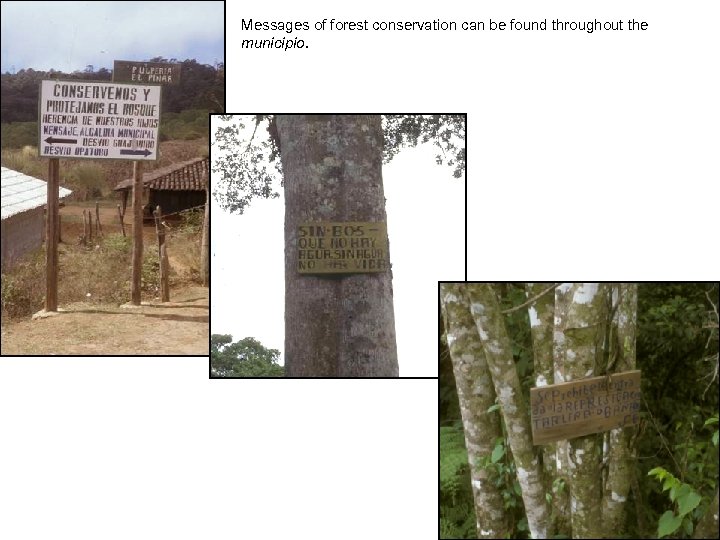Messages of forest conservation can be found throughout the municipio. 