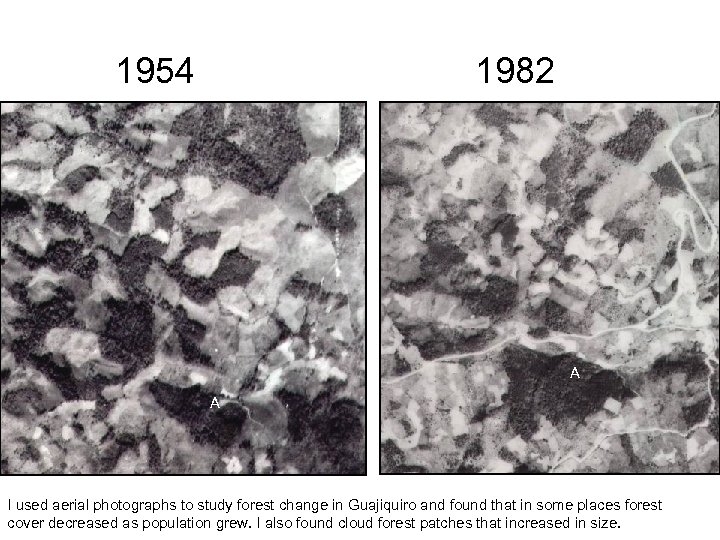 1954 1982 A A I used aerial photographs to study forest change in Guajiquiro