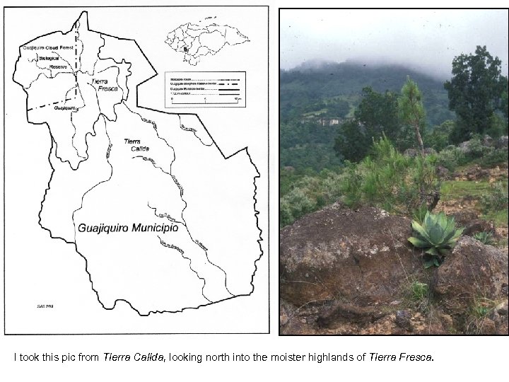I took this pic from Tierra Calida, looking north into the moister highlands of