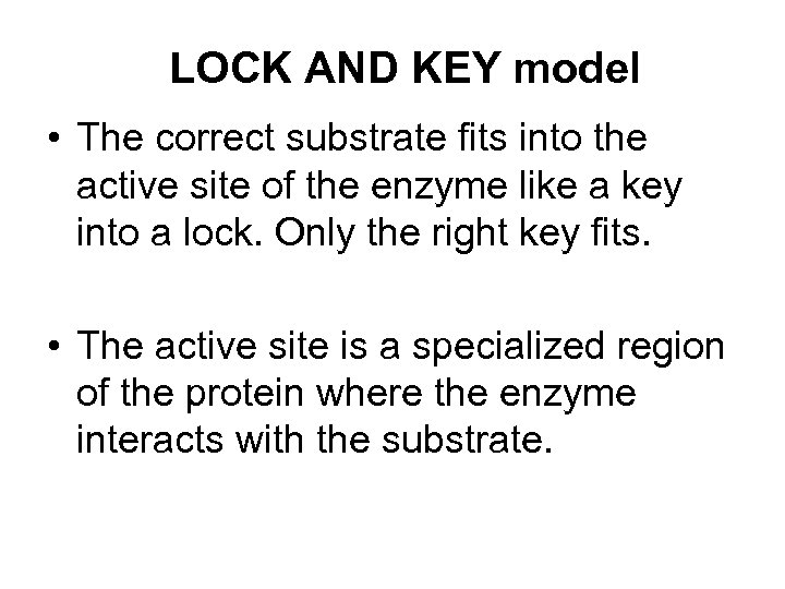 LOCK AND KEY model • The correct substrate fits into the active site of