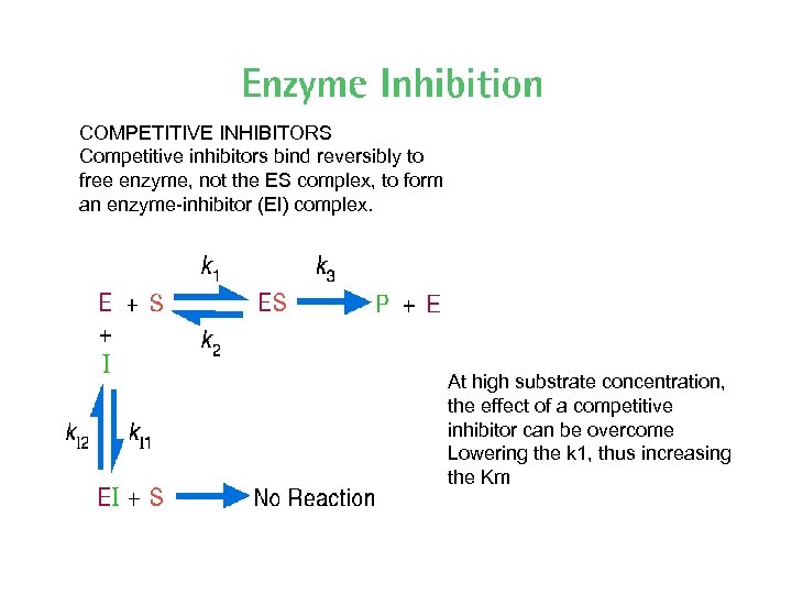 COMPETITIVE INHIBITORS Competitive inhibitors bind reversibly to free enzyme, not the ES complex, to