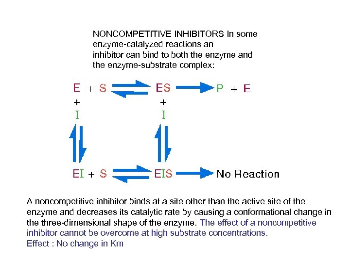 NONCOMPETITIVE INHIBITORS In some enzyme-catalyzed reactions an inhibitor can bind to both the enzyme
