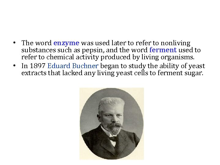  • The word enzyme was used later to refer to nonliving substances such