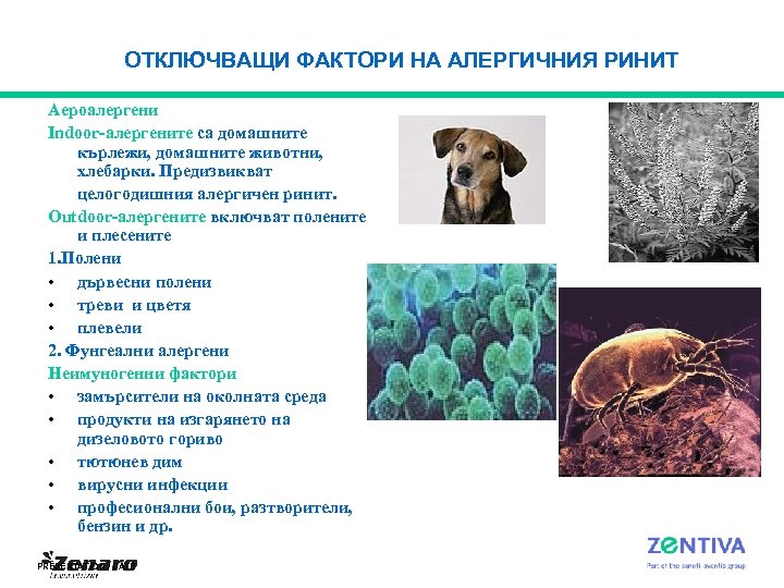 ОТКЛЮЧВАЩИ ФАКТОРИ НА АЛЕРГИЧНИЯ РИНИТ Аероалергени Indoor-алергените са домашните кърлежи, домашните животни, хлебарки. Предизвикват
