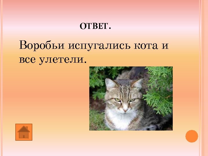 Кот отвечает. Кот ответ. Кого боится кот загадка ответ. Простой вопрос для малышей кого боится кот похожие загадки. Простой вопрос для малышей кого боится кот.