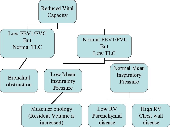 Reduced Vital Capacity Low FEV 1/FVC But Normal TLC Bronchial obstruction Normal FEV 1/FVC