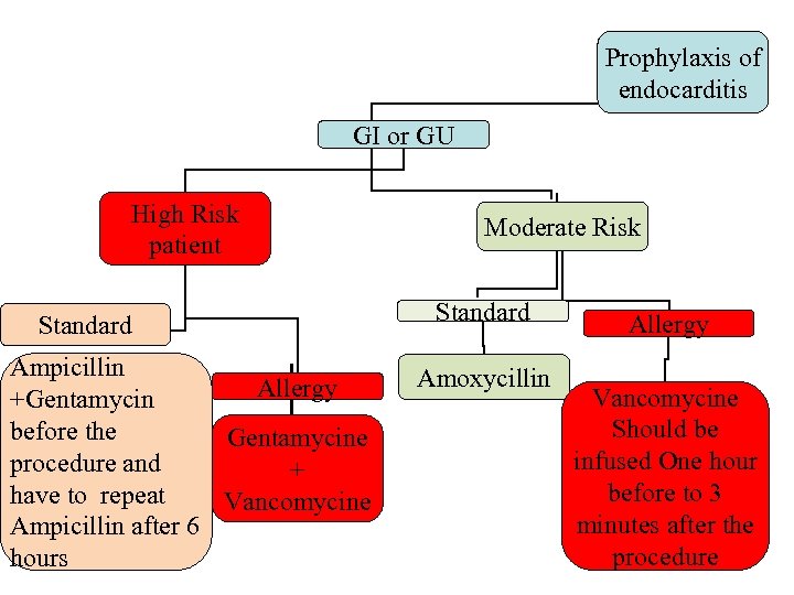 Prophylaxis of endocarditis GI or GU High Risk patient Standard Ampicillin Allergy +Gentamycin before