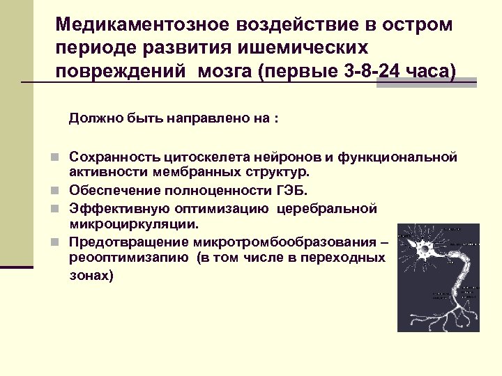 Медикаментозное воздействие в остром периоде развития ишемических повреждений мозга (первые 3 -8 -24 часа)