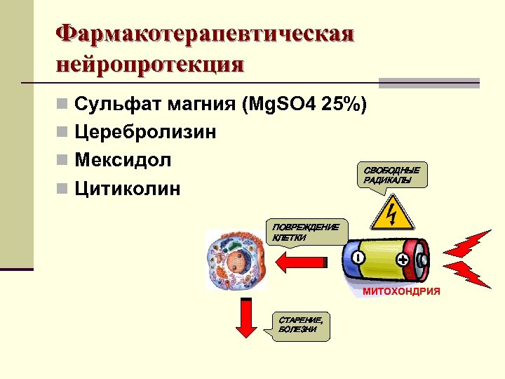 Фармакотерапевтическая нейропротекция n Сульфат магния (Mg. SO 4 25%) n Церебролизин n Мексидол СВОБОДНЫЕ
