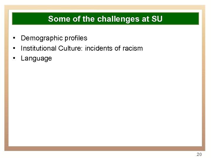 Overview Some of the challenges at SU • • Demographic profiles Background to transformation
