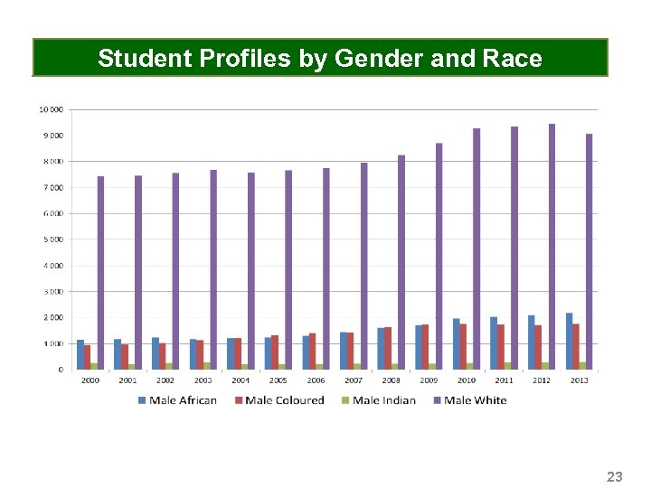 Student Profiles by Gender and Race 23 