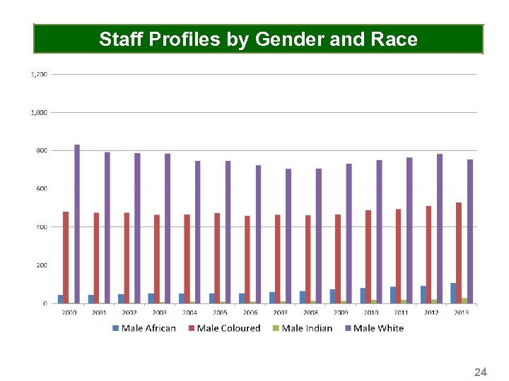 Staff Profiles by Gender and Race 24 