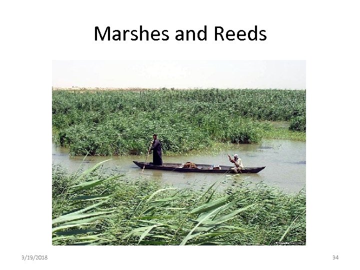 Marshes and Reeds 3/19/2018 34 