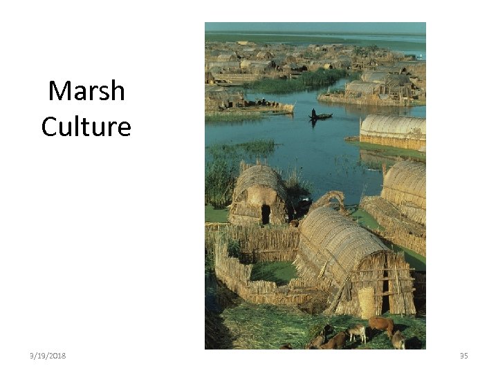 Marsh Culture 3/19/2018 35 