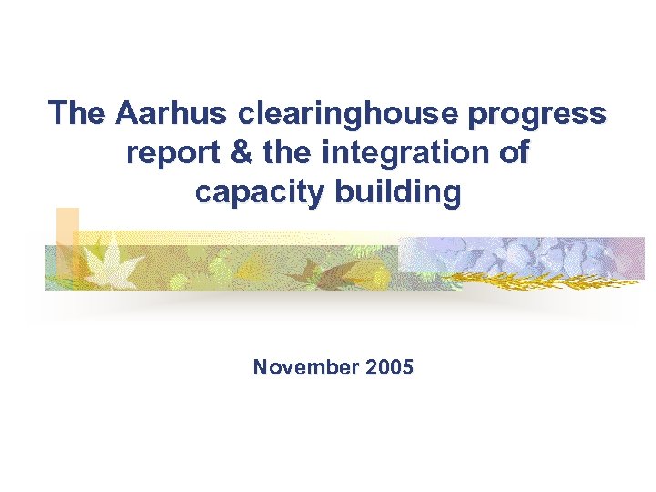 The Aarhus clearinghouse progress report & the integration of capacity building November 2005 