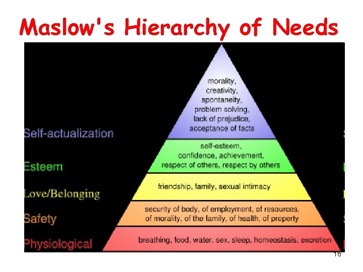 Maslow's Hierarchy of Needs 16 