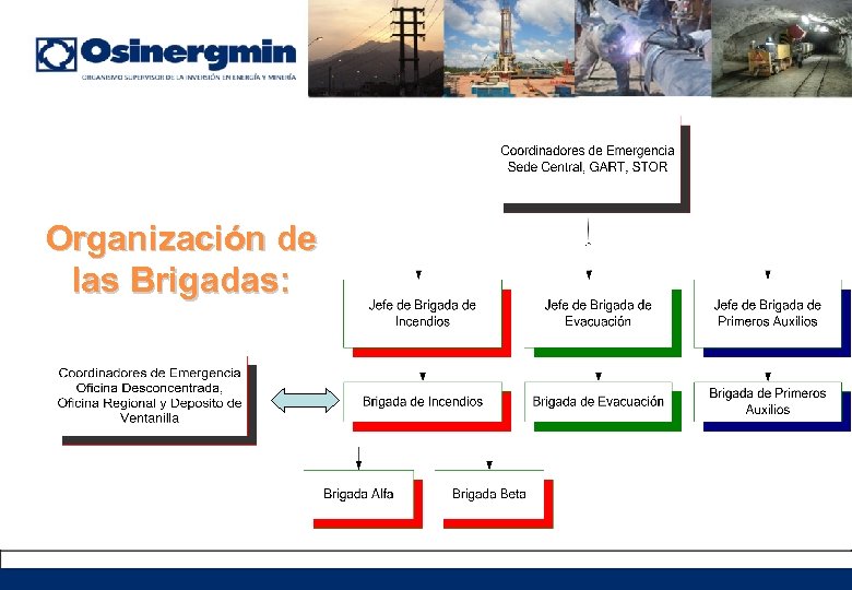 Organización de las Brigadas: 