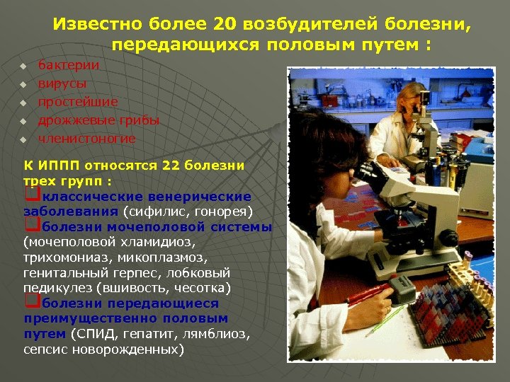 Известно более 20 возбудителей болезни, передающихся половым путем : u u u бактерии вирусы