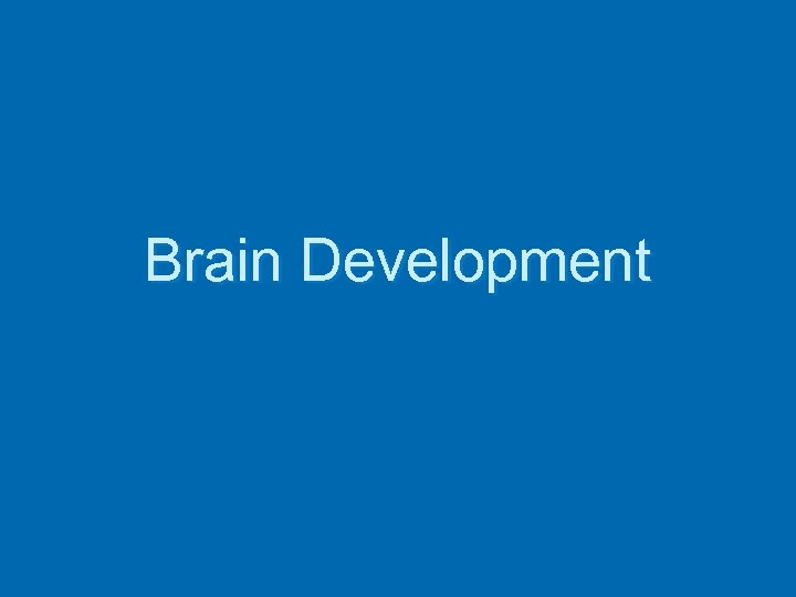 Brain Development 