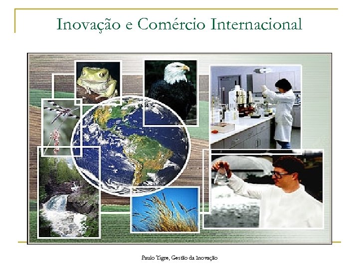Inovação e Comércio Internacional Paulo Tigre, Gestão da Inovação 