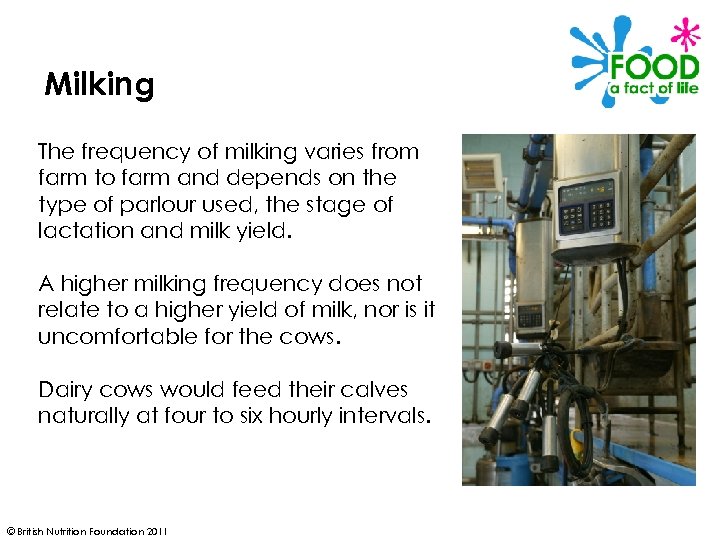 Milking The frequency of milking varies from farm to farm and depends on the