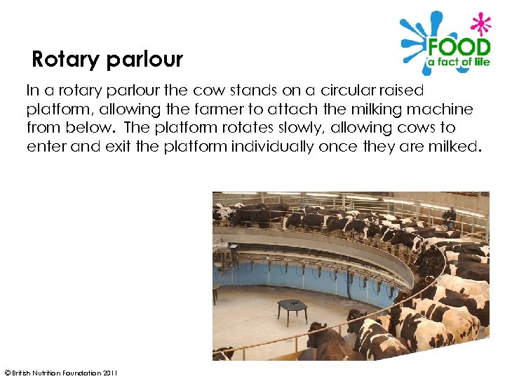 Rotary parlour In a rotary parlour the cow stands on a circular raised platform,