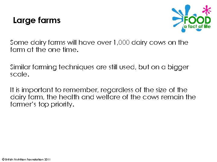 Large farms Some dairy farms will have over 1, 000 dairy cows on the