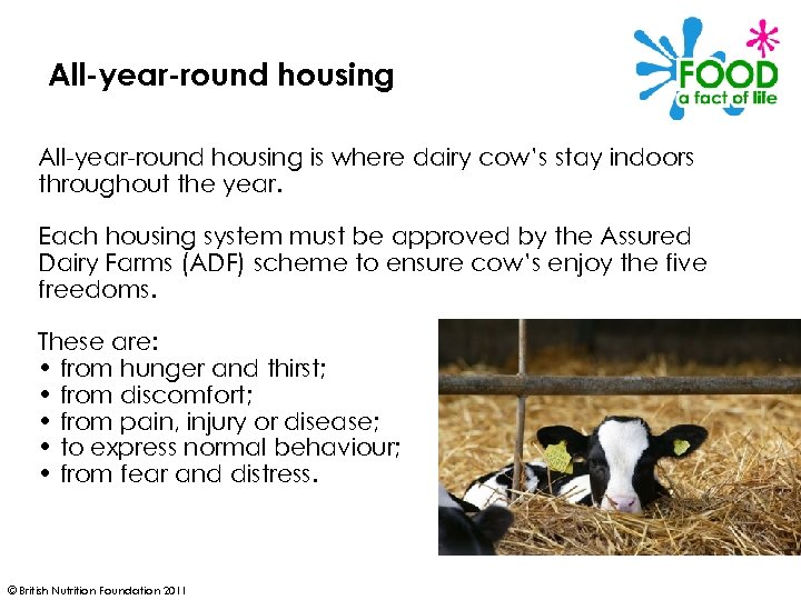 All-year-round housing is where dairy cow’s stay indoors throughout the year. Each housing system