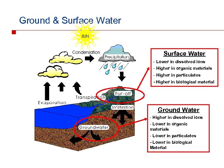 Ground & Surface Water - Lower in dissolved ions - Higher in organic materials