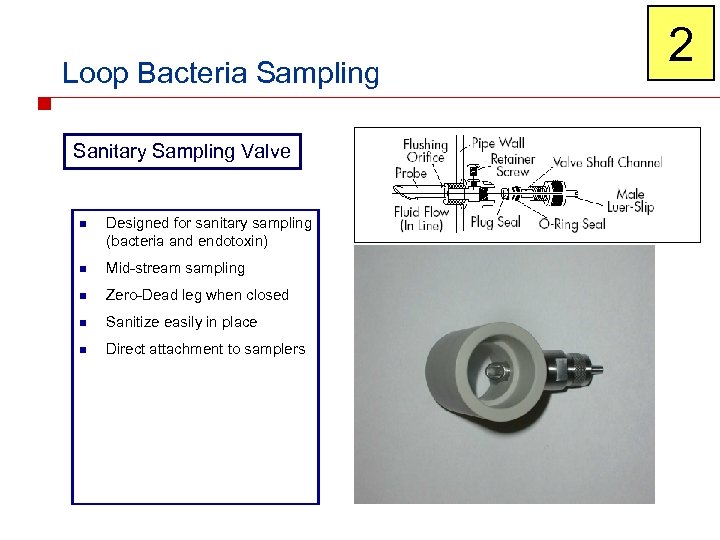 Loop Bacteria Sampling Sanitary Sampling Valve n Designed for sanitary sampling (bacteria and endotoxin)