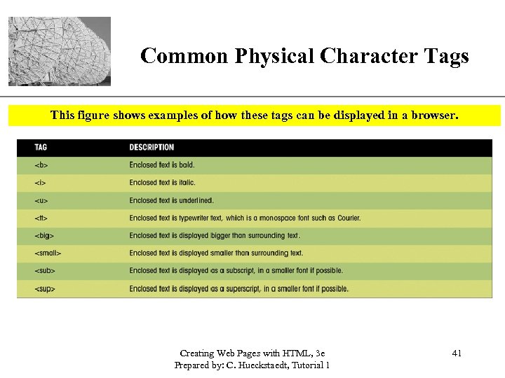 XP Common Physical Character Tags This figure shows examples of how these tags can