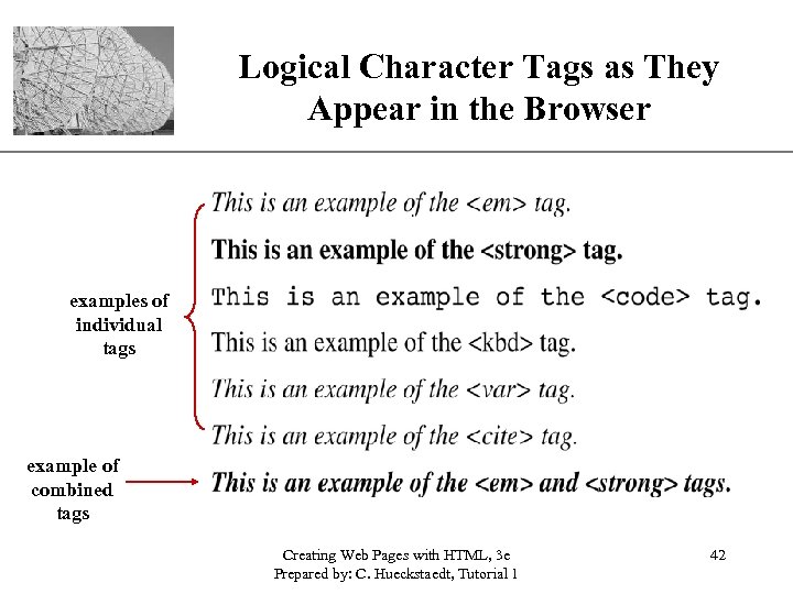 Logical Character Tags as They XP Appear in the Browser examples of individual tags